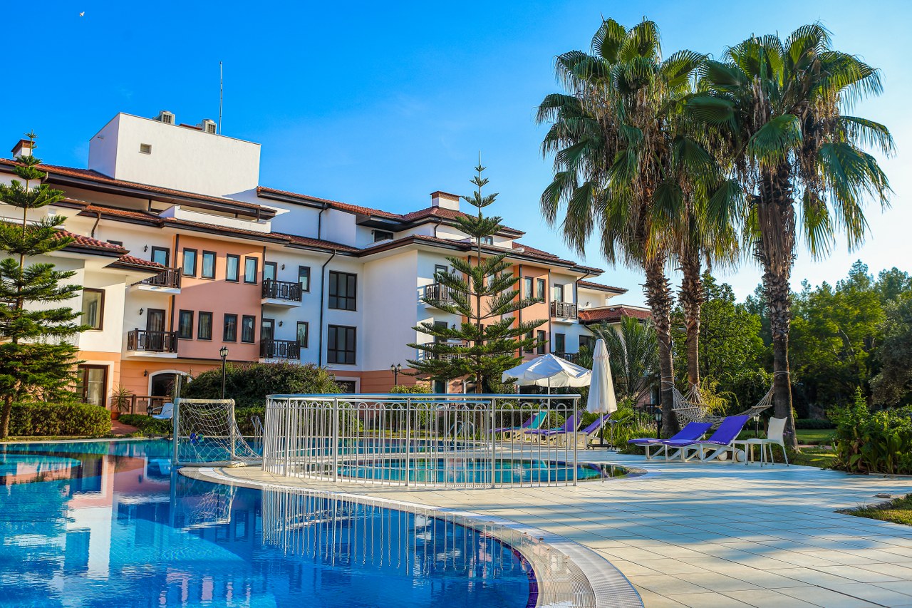 Piscine palmier Carefree